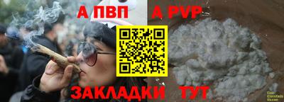 PSILOCYBIN Можга