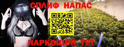 шишки Можайск
