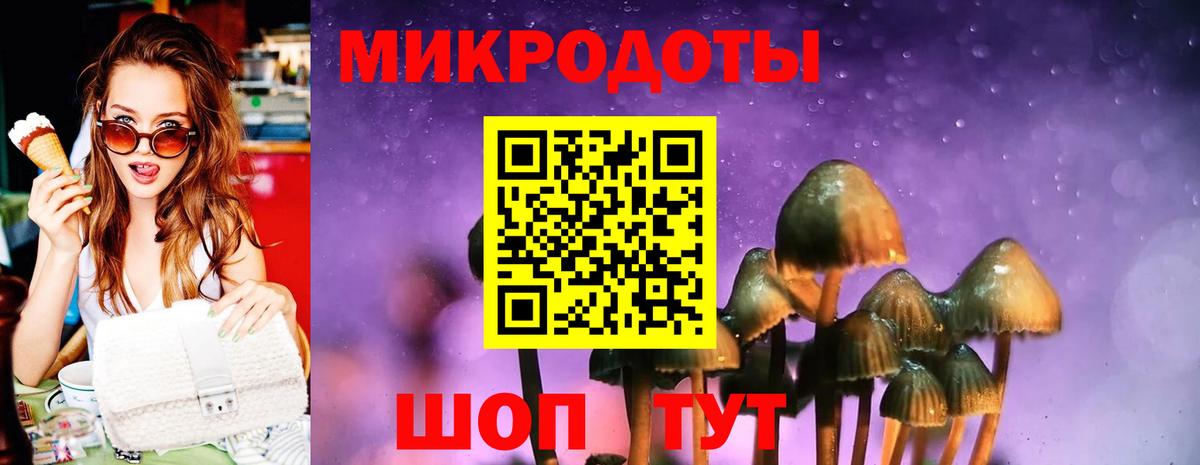 Галлюциногенные грибы мицелий Чайковский